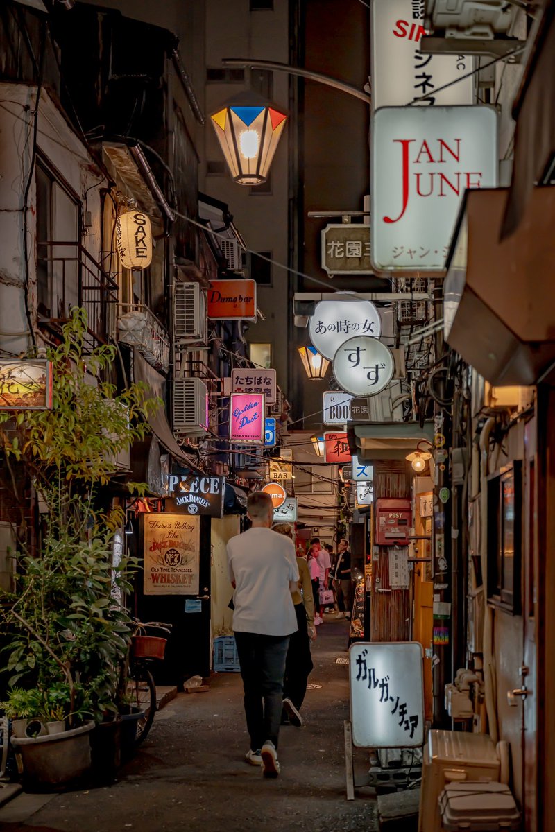 Meandering Max tweet media