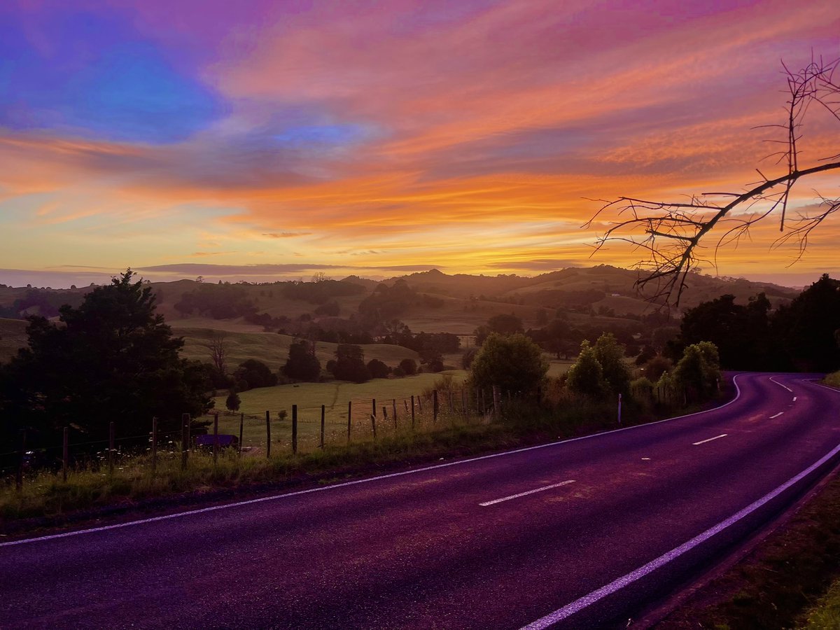 Desiree Bastiaanse (@desireebastiaa1) on Twitter photo 