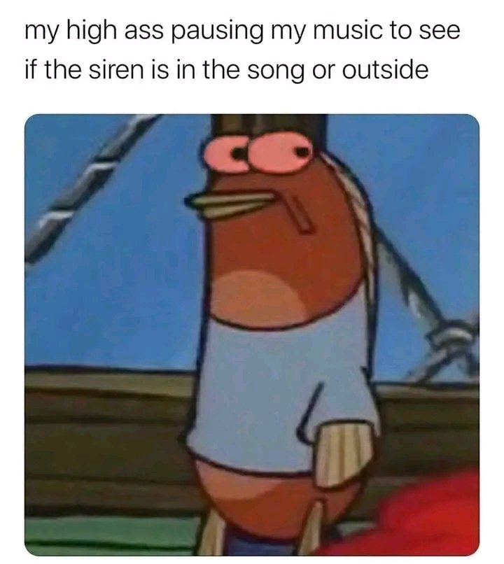 🤣😂🤣