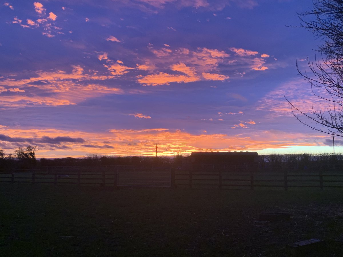 Mboyd7Boyd's tweet photo. Time to move to clearer skies…..follow me @mboyd7.bsky.social in the new year https://t.co/ZKHuvyVBcR