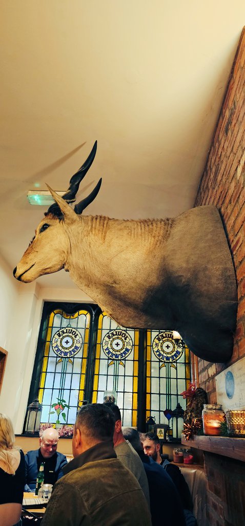 badtaxidermy's tweet photo. https://t.co/gdGtcbLYRt