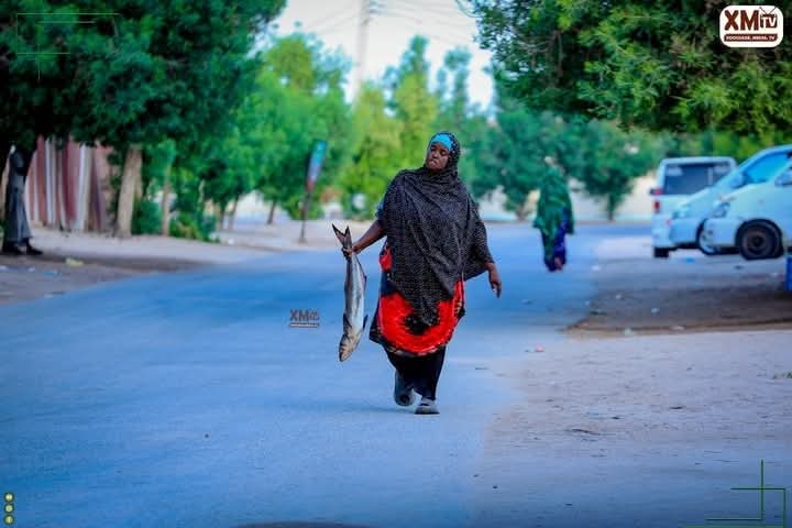 eshqiyasak's tweet photo. Good morning #Berbera https://t.co/a5sVYT34w4