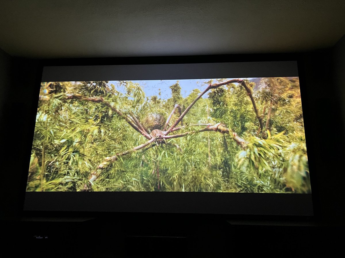 a lousy knave tweet media