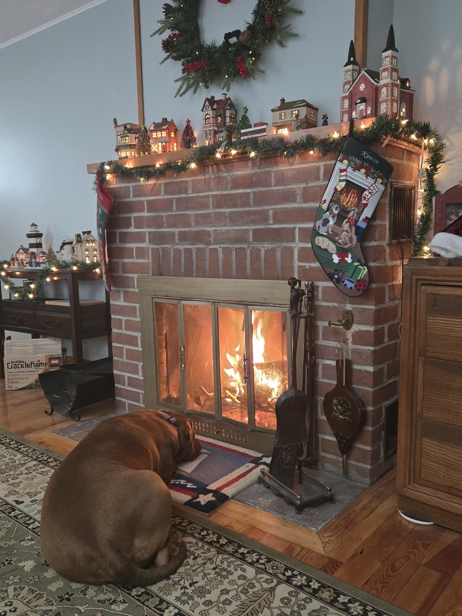 teamdooley's tweet photo. Gracie is enjoying the fire https://t.co/qe8gWm0Sg9