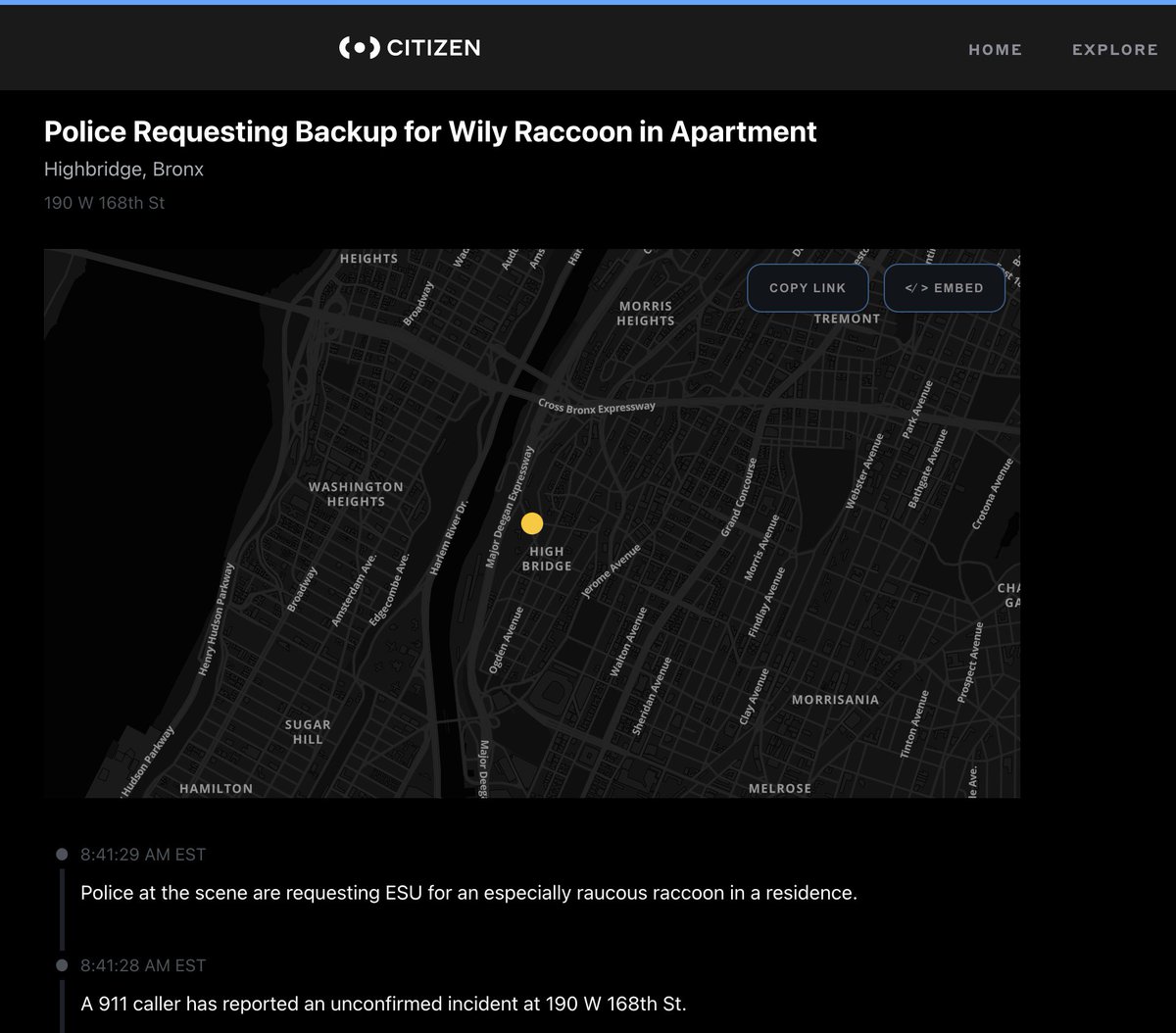 chilltowntv's tweet image. This says everything you need to know about the NYPD. #IJS 
 Backup?!