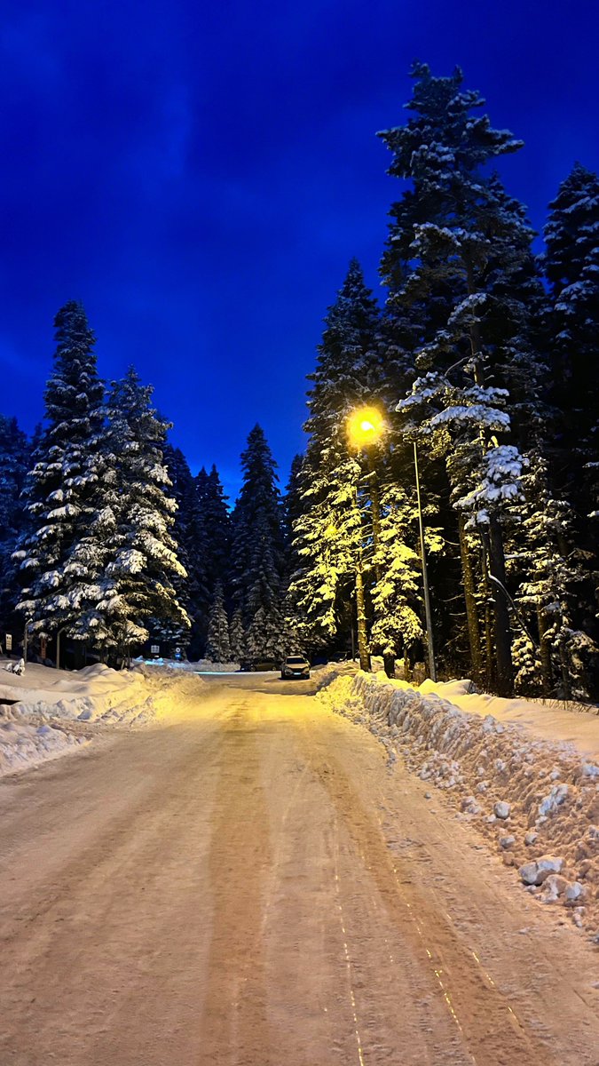 "Karlı bir gece vakti bir dostu uyandırmak"