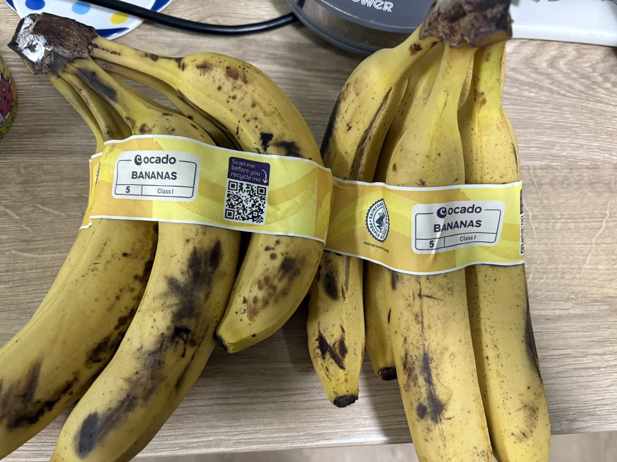 Katie Flanagan tweet media