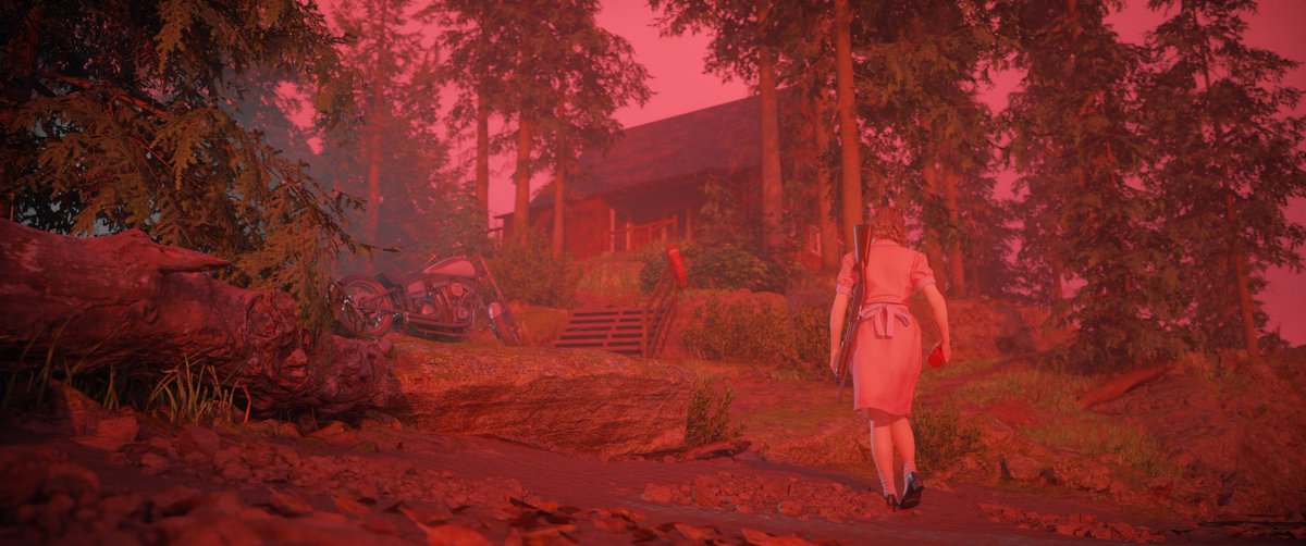 dieandreshoot's tweet photo. Alan Wake 2 (21:9) https://t.co/c7GiacnvOF