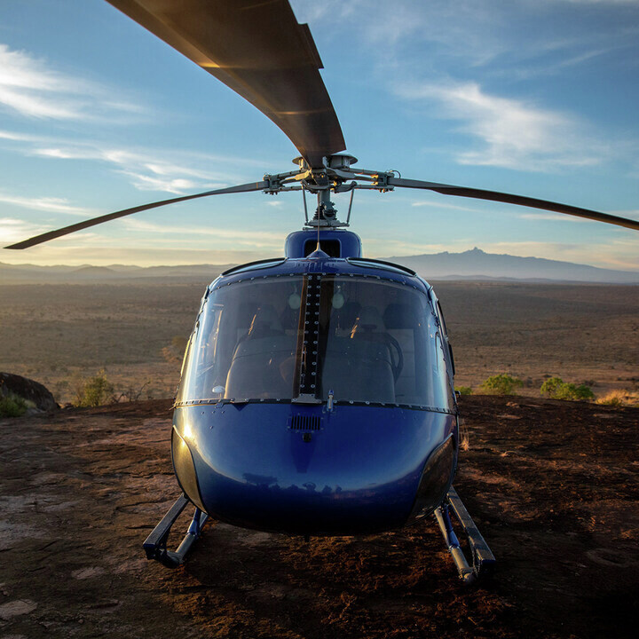 Satopia Travel tweet media