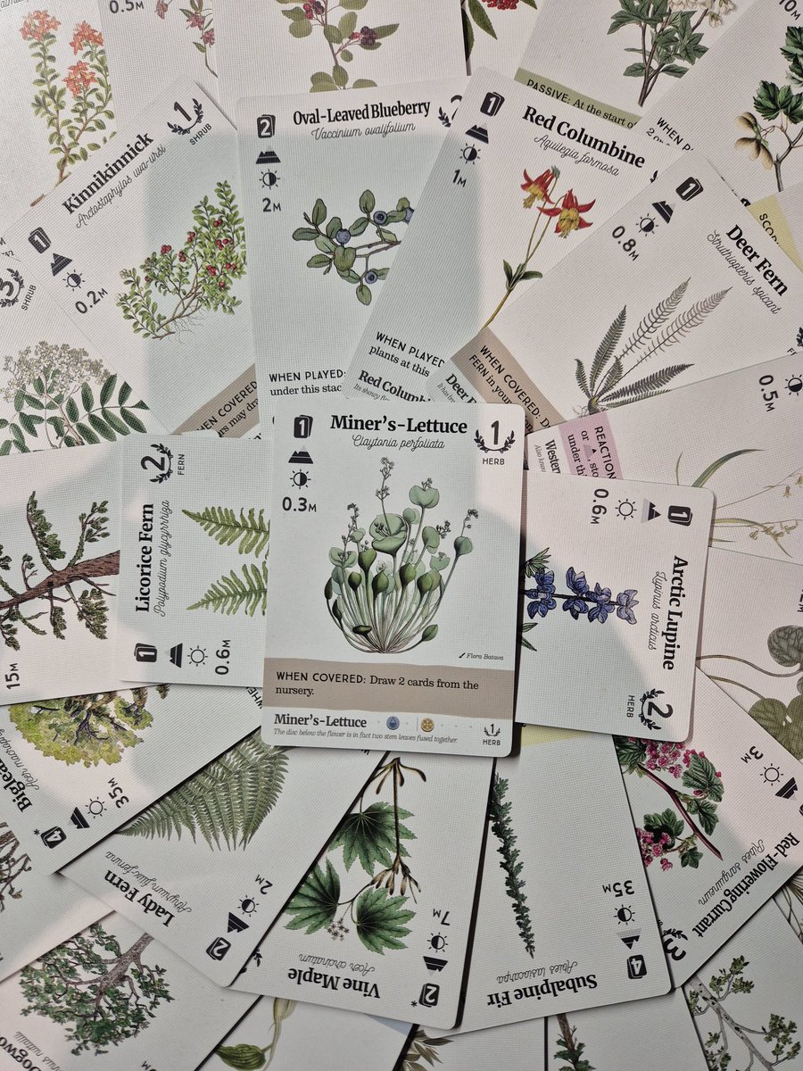 tlarraya's tweet image. Reforest published by Firestarter Games is a portable card game with a great theme and which feels very thematic (the rules tie up nicely to how forests work) but it isn't fun, it's a too long multiplayer solitaire and the symbols are too small to read even in your own forest.🙃