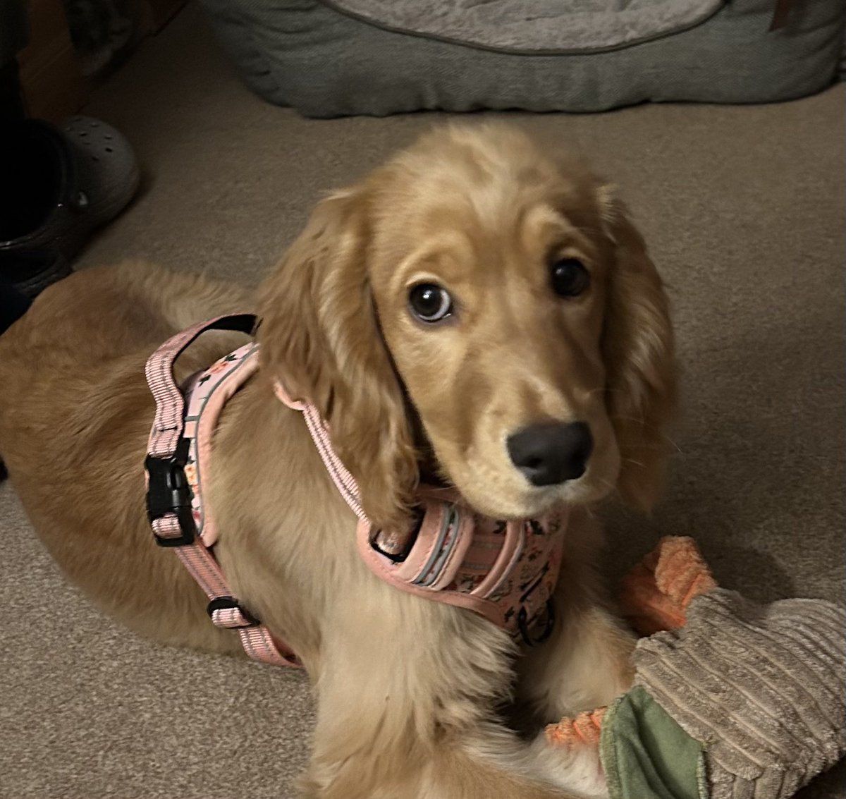 Amanda Pickard 🙋🏻‍♀️ #weeponder 🧐 tweet media