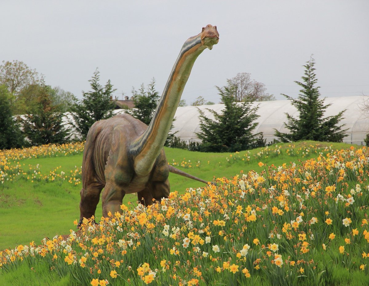 scp-wiki.wikidot.com/scp-8773

"Hence when the antiquated are truly neglected, if not forgotten, may the sand at the bottom of the hourglass remind time of what betided, so the folk of tomorrow might grasp the beauty and the lessons of the foregone"

New Artex gift for Pedagon posted!