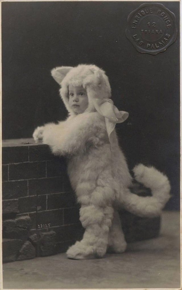 Ребёнок в костюме кота. 1918г.