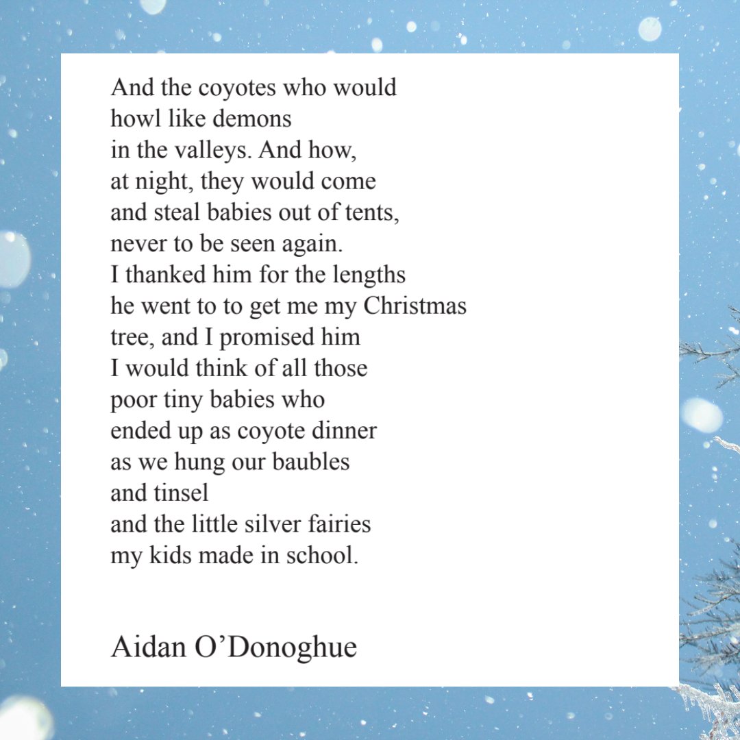 ❛ The guy selling Christmas trees / in the SuperValu car park / knew everything there was to know / about Christmas trees. 

Revisiting Aidan O'Donoghue's festive poem, originally from Issue 35. 🌲 #MothArchives