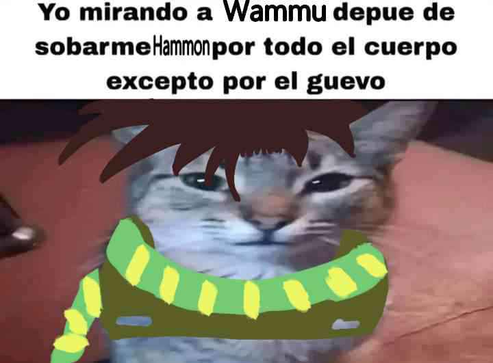 Damo (@storiesdamo) on Twitter photo 