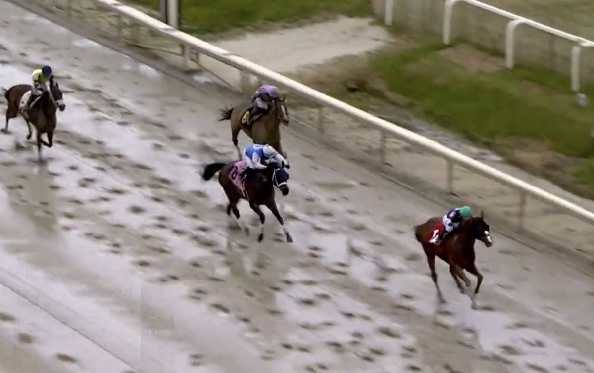 JenRoytz's tweet photo. The #brownsteadbred Splendor Beauty does it again, winning the 4th at @LaurelPark with a bit left in the tank! Congrats to his connections! https://t.co/Ra1HVCrjCy