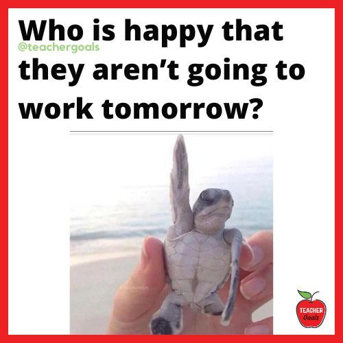 teachergoals's tweet photo. Yup! 🙋‍♀️🙋‍♂️
🌐 https://t.co/3qw2SY2yXy https://t.co/Qk9DbboFL5