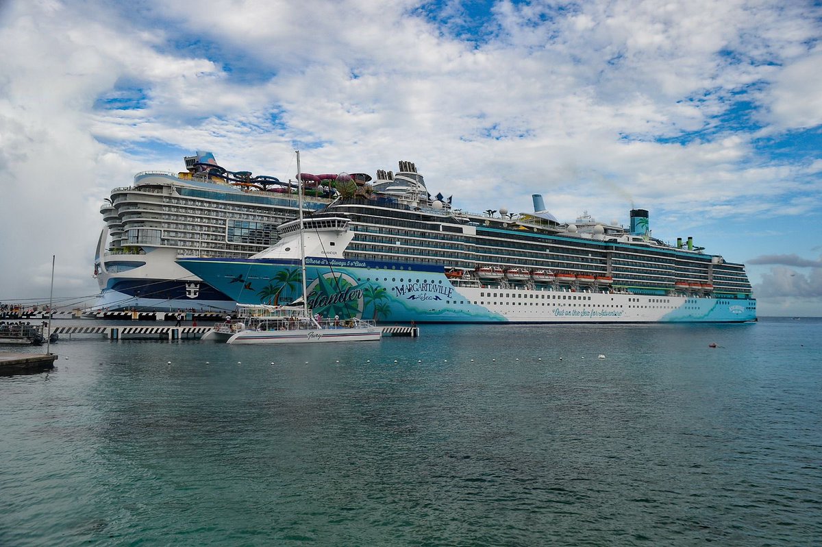 Mara Lezama tweet media