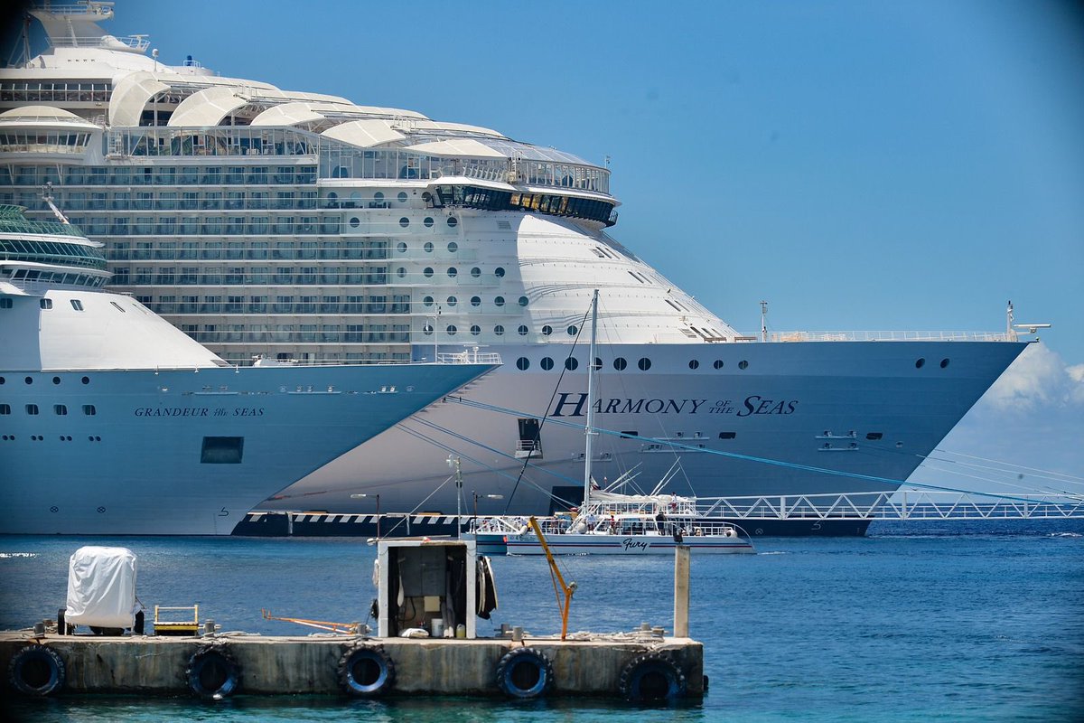 Mara Lezama tweet media