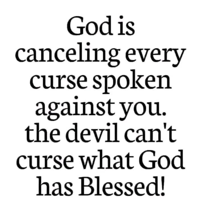 realdanieltitus's tweet image. Can I get an Amen?