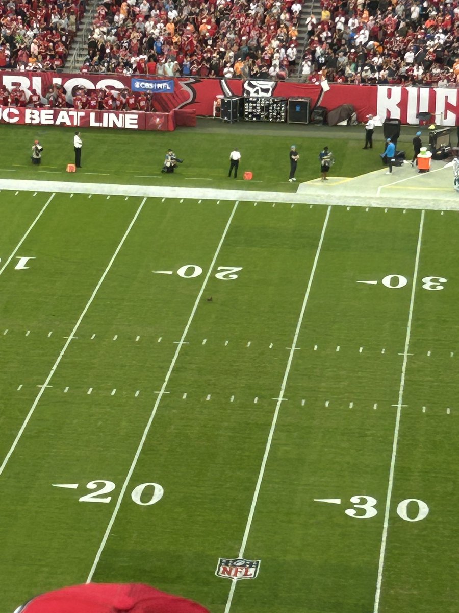 Duckie Duckie… Duck lands on field, we block punt for TD. <a href="/Buccaneers/">Tampa Bay Buccaneers</a>