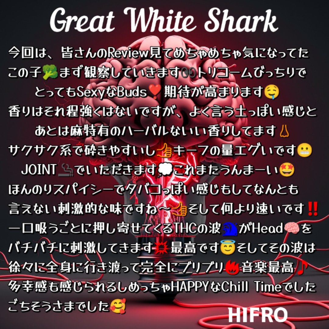 HIFRO″ tweet media
