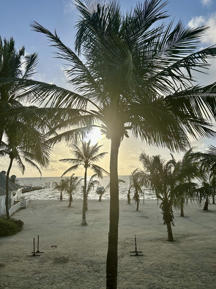 Cynthia Thurlow, NP tweet media