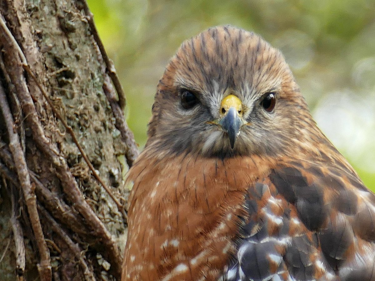 Just some pictures I took. 📸