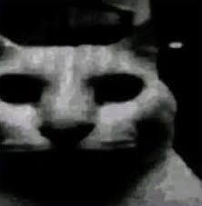 SSUP45's tweet photo. POV: is cat in your bedroom at 3 AM💀💀💀💀💀💀💀💀💀💀💀💀💀💀💀💀💀 https://t.co/V8dqbekR61