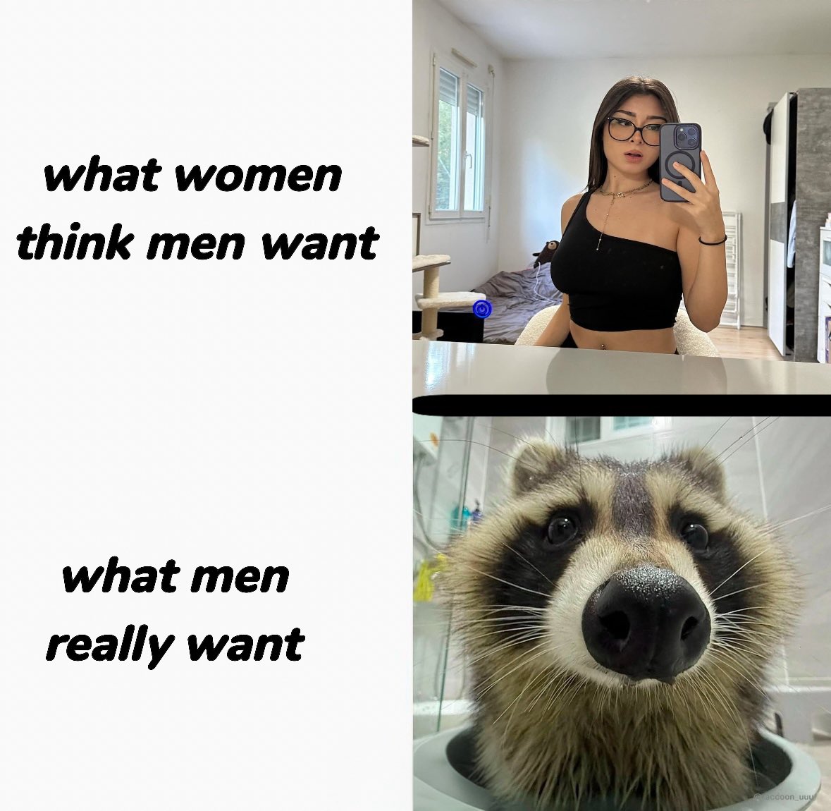 raccoon aesthetic. tweet media