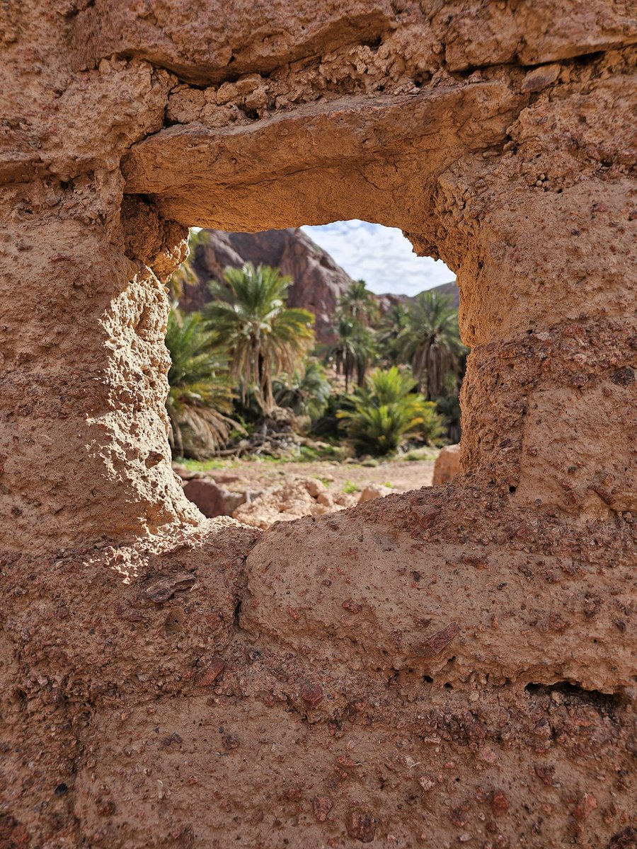 Anaserafi's tweet image. عندما تكون في حائل تبهرك المدينة بسعة تخطيطها ومنظومة شوارعها الرحبة، والتي لا يضاهيها في ذلك الا رحابة اهلها وترحابهم بضيفها او عابر سبلها.
اوج ذلك الترحاب وقمة الكرم كان في ضيافة ابن حائل معالي أخي المهندس عبدالله الرخيص @A_Alrakhi عند استقباله رئيس جامعة الملك عبدالعزيز د.…