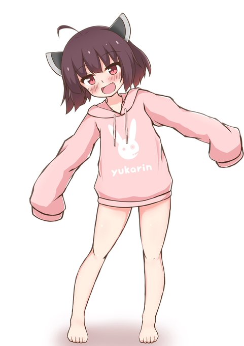 パーカーきりたん 