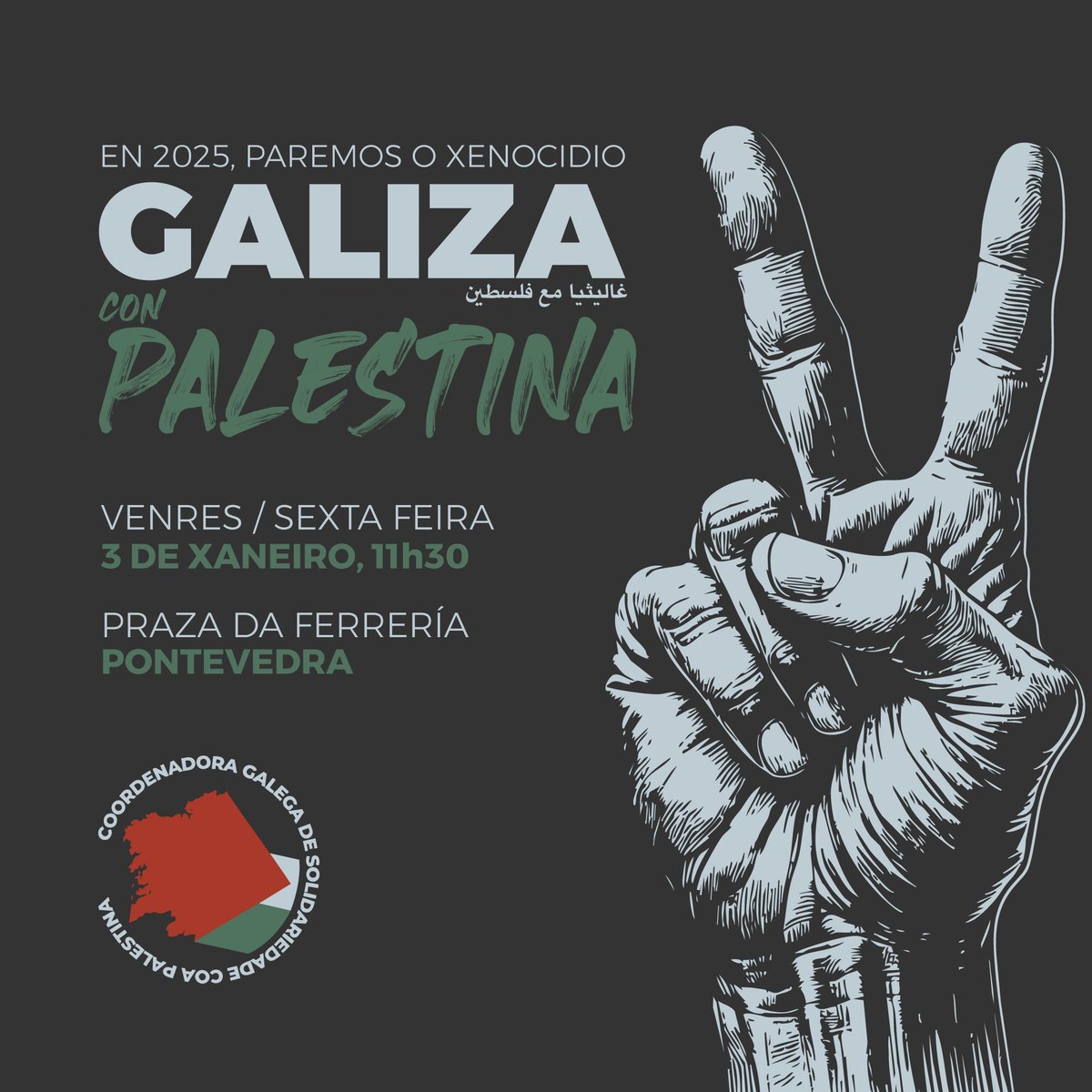 🔴 O próximo venres 3 de xaneiro en #Pontevedra, da Coordenadora Galega faremos balance do 2024, da dramática realidade do pobo palestino ocupado 🇵🇸 e do papel do goberno galego, español e da UE mentras ocorre un xenocidio día a día frente aos nosos ollos. #GalizaconPalestina