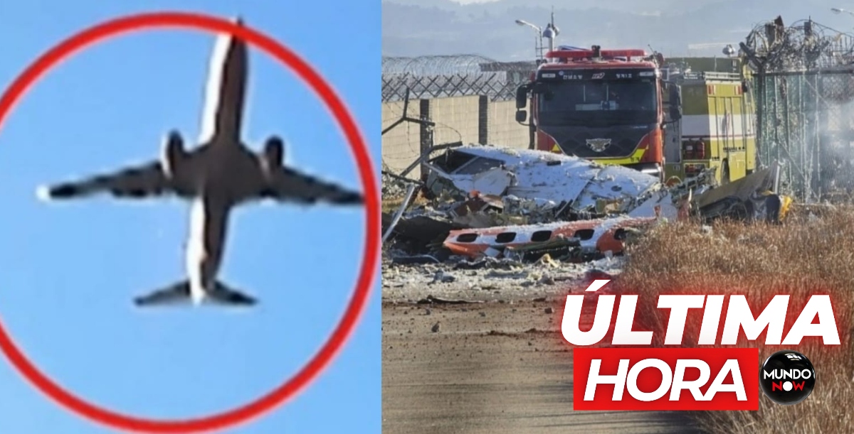 MundoNowOficial's tweet image. URGENTE: Revelan las causas del accidente aéreo donde perdieron la vida 179 personas (VIDEO) 👉 mundo.social/4fCDabu #CoreaDelSur #accidente #MundoNow