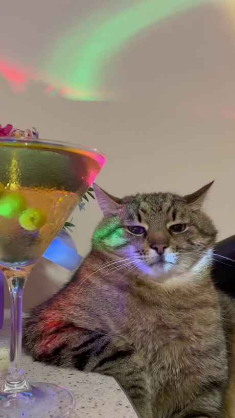 LouisDiox's tweet image. C'est la fin de l'année, quoi de mieux qu'un petit live où rien n'est prévu pour terminer en beauté ?
twitch.tv/louis_diox