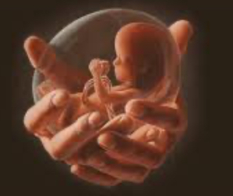 Elizabeth Chalker tweet media