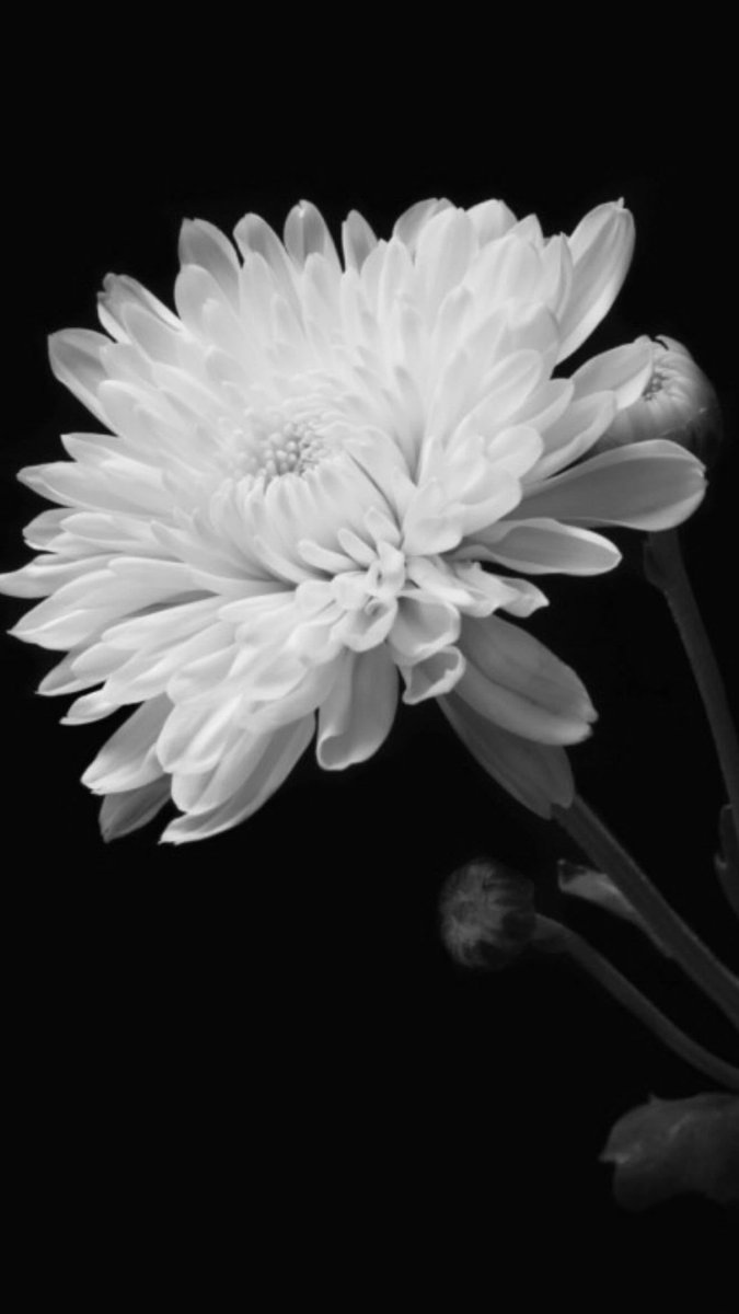 힘든 한해가 지나고  모든이들의 평화가 있기를 
기도합니다🙏