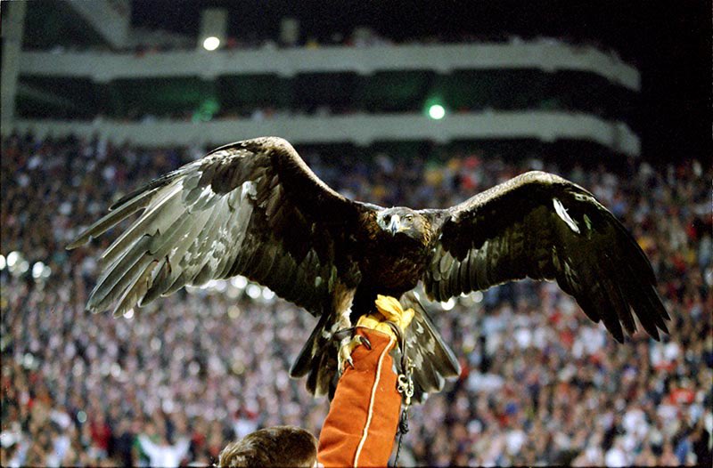 Xavier Chaplin (@chaplin_xavier) on Twitter photo 