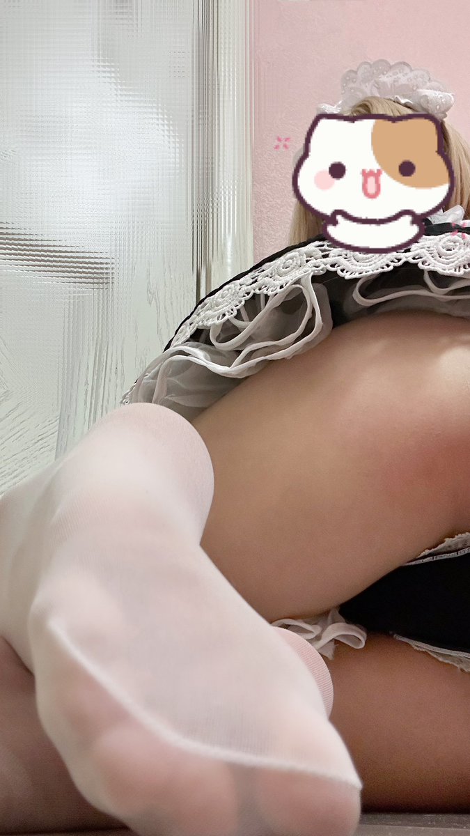 Itspcdog's tweet photo. 想抱抱你 可是我胖胖的肚子先顶到你 https://t.co/CmnoZQtG37