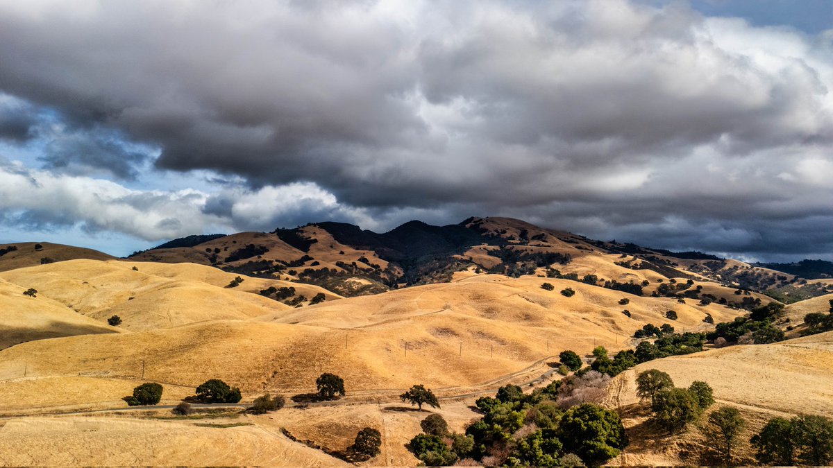 Justastateofmind Photography tweet media