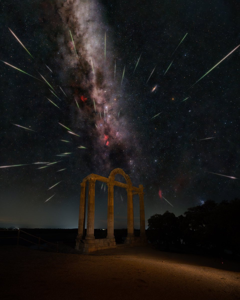 Miguel Gracia tweet media