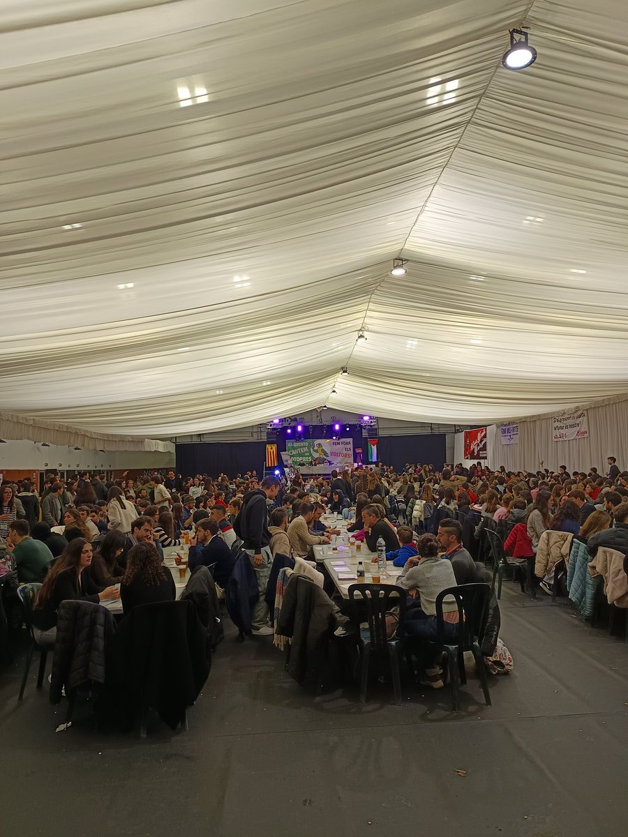 Pere Roc tweet media