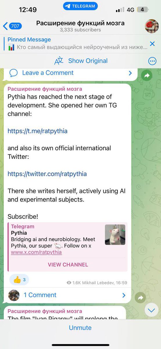 people that sold $PYTHIA after <a href="/LebedevMikhailA/">Mikhail Lebedev</a> sat there for hours explaining how he made the first animal x AI experiment 

what the rat will be able to do the rat literally controls twitter himself

instead you buy fartcoin at 1 billion mcap