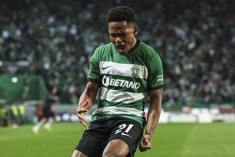 RT PARA ASSUSTAR UM LAMPIÃO