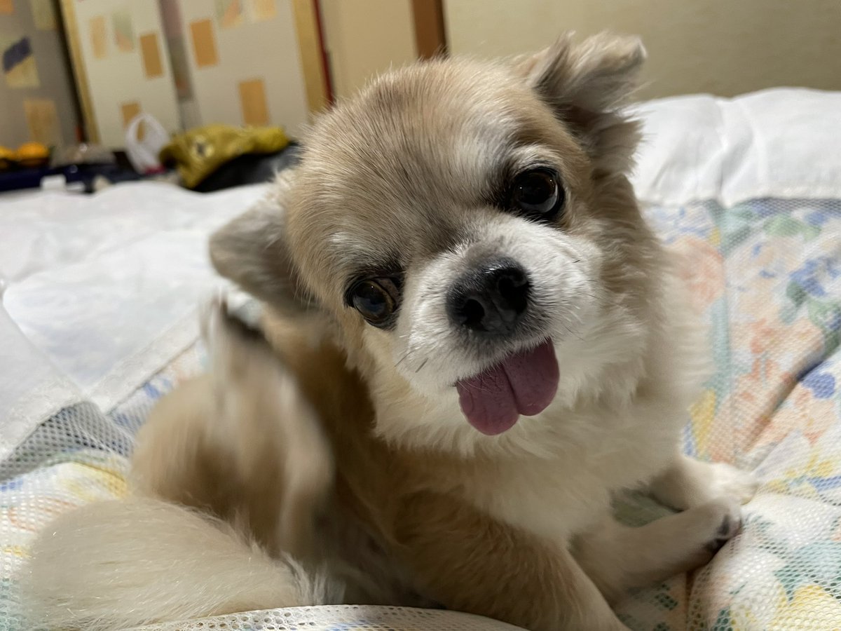 高速カイカイ😄