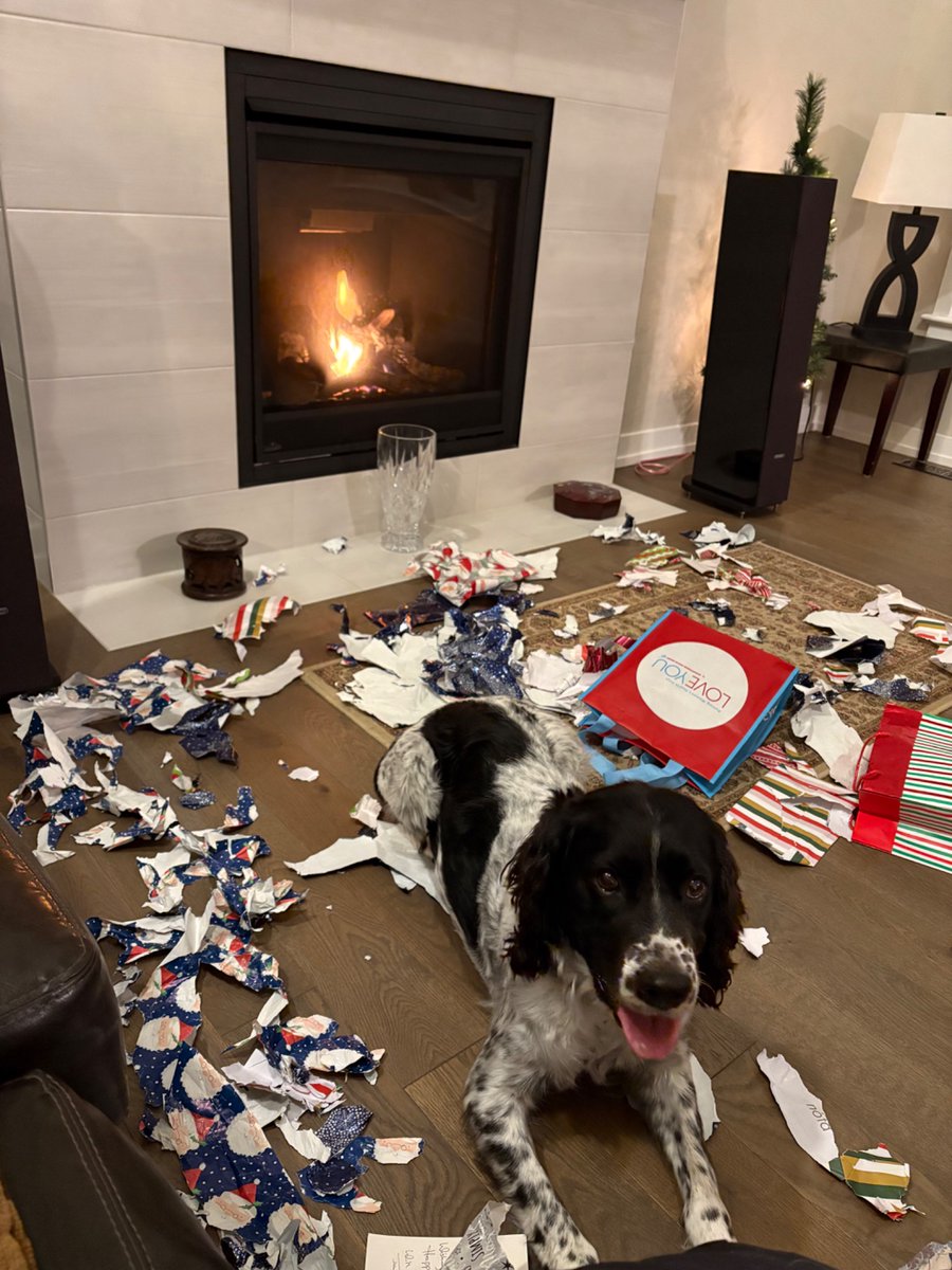 Holiday vacation ✅
Christmas  ✅
2 birthdays and a #NewYear2025 party to go.  

Already exhausted 🤪.