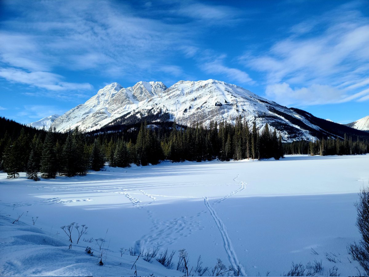 Lisa (Homer) Baril tweet media