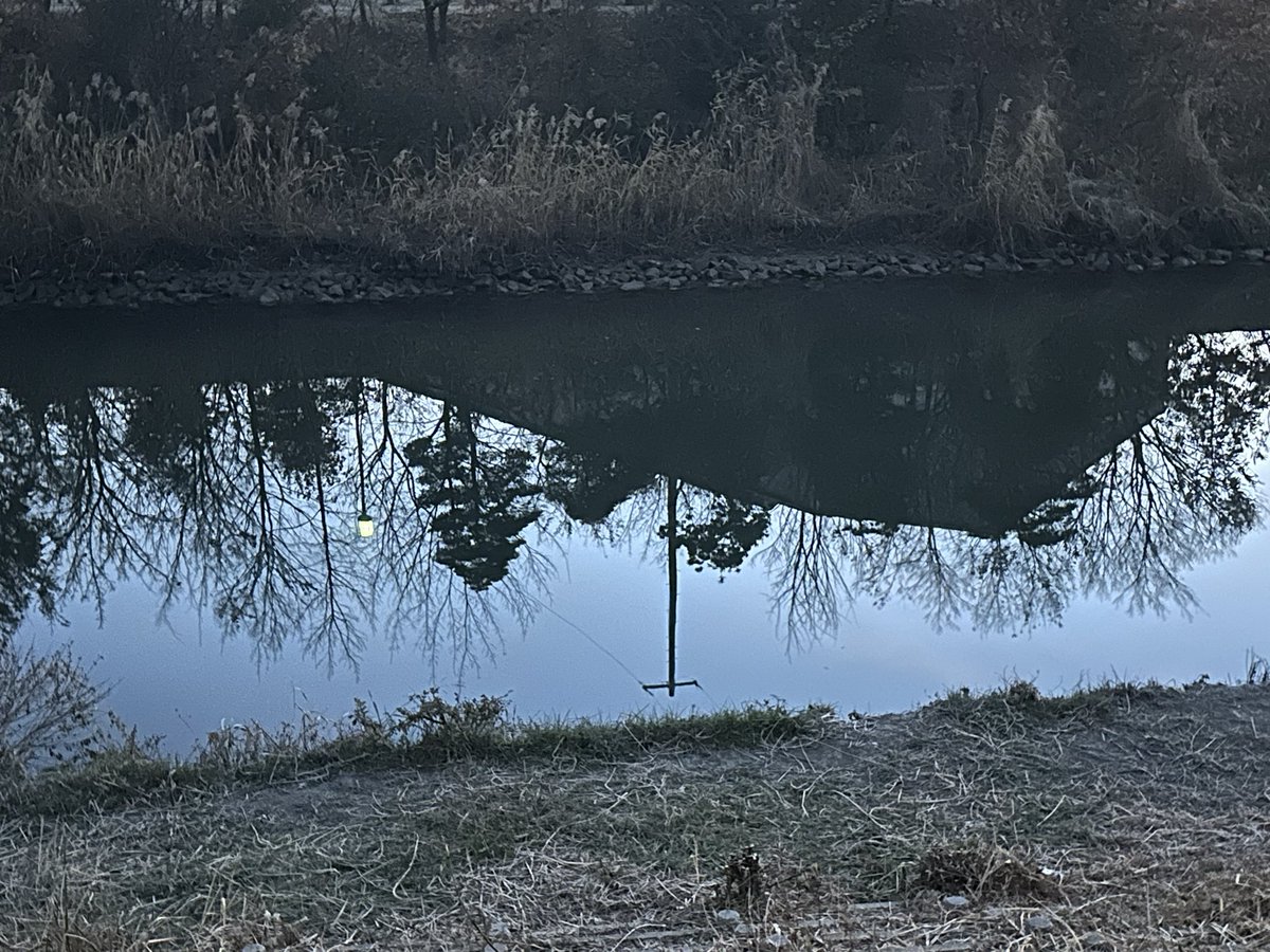 おはようございます！　おそらく今年最後のツイート　今日も←⚠️ノーバイトでしょぅ！　今朝は巻きは封印しようかな　と🤤　あと２日　良いお年をお迎えください！