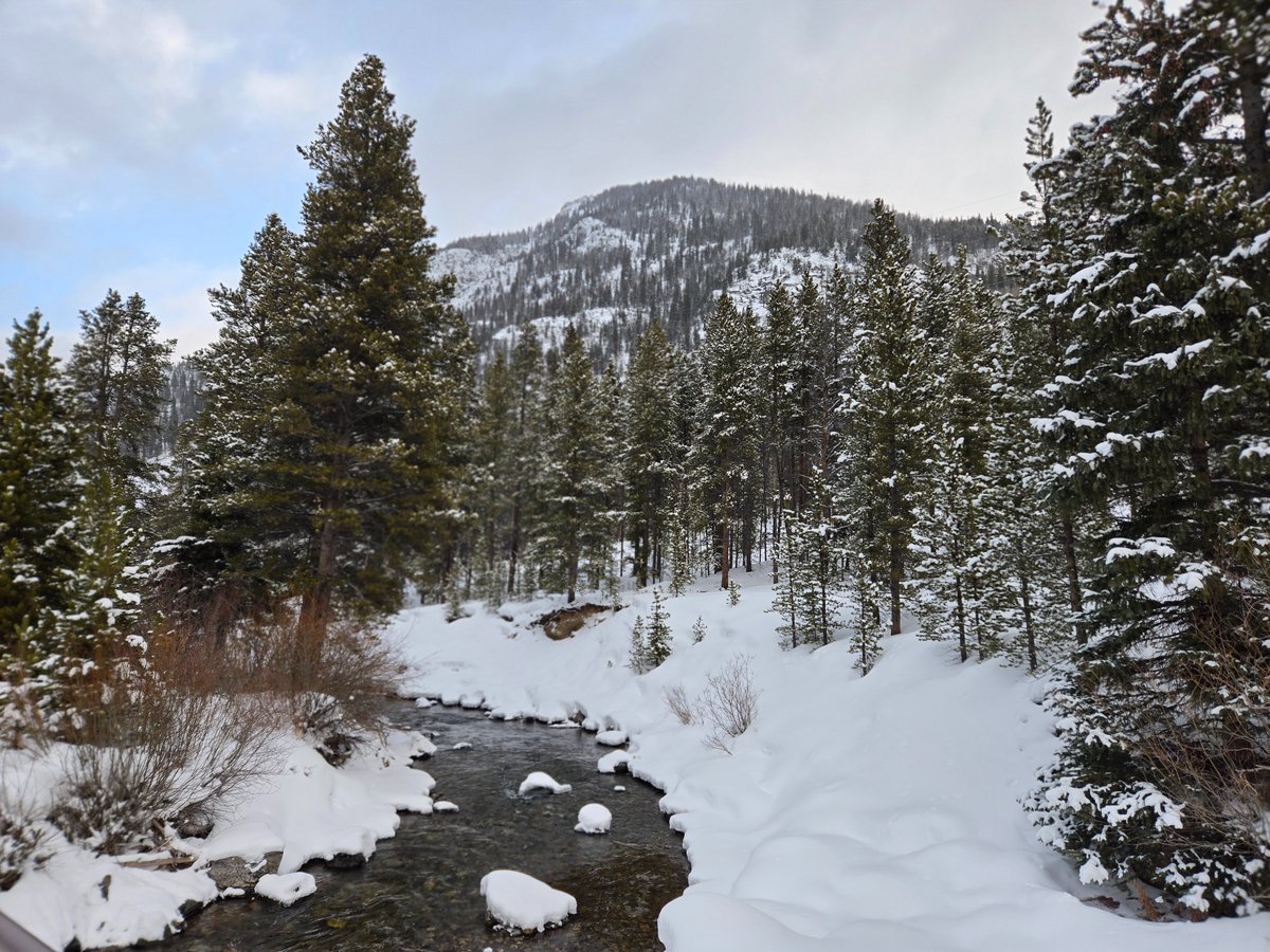 I love my new snowshoes! But even more so, I Iove where they take me! 💕🌲🏔️