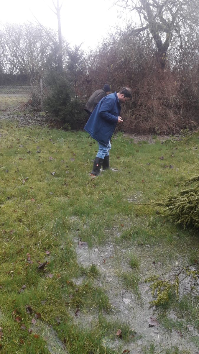 holunderwald's tweet photo. Am zweiten Weihnachtstag ist an meinem Grundstück eine Wasserleitung geplatzt. Das ganze hat sich zu einer sehr deutschen Parabel entwickelt, die ich gerne noch im alten Jahr mit Euch teilen möchte 1/x https://t.co/TwdVqOmiGP